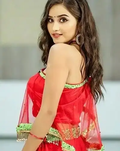Call Girls Service Ballarpur